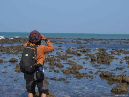 Marine National Park Gulf of Kutch 03