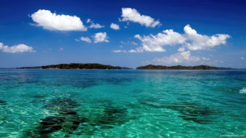 Marine National Park Gulf of Kutch 06