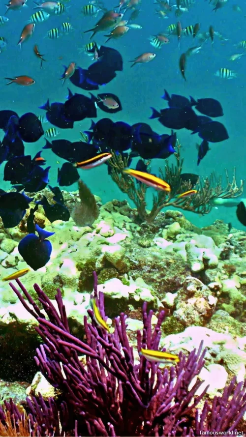 Marine National Park Gulf of Kutch 07