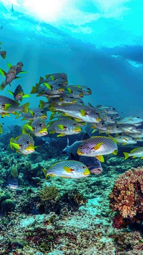 Marine National Park Gulf of Kutch 09