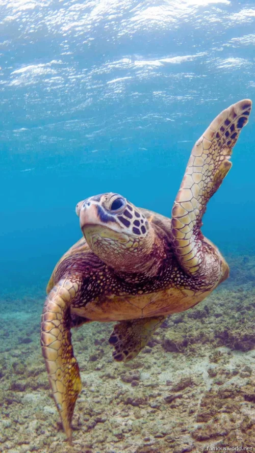 Marine National Park Gulf of Kutch 10