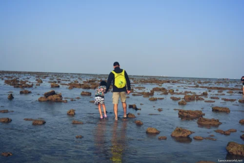 Marine National Park Gulf of Kutch 13