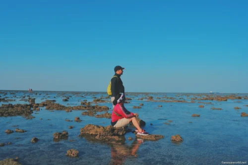 Marine National Park Gulf of Kutch 14