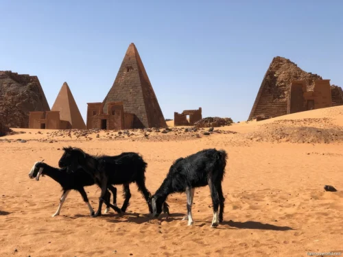 Meroe Pyramids 09