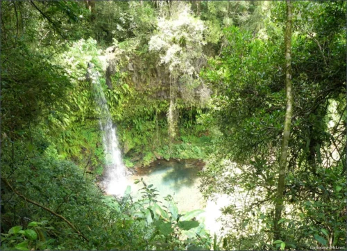 Montagne d’Ambre National Park 04