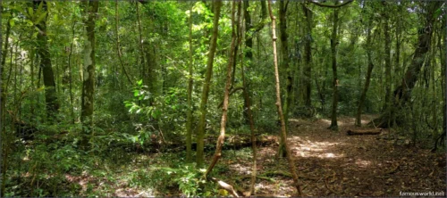 Montagne d’Ambre National Park 05