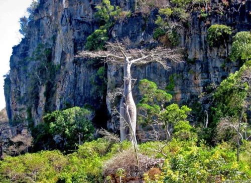 Montagne d’Ambre National Park 13