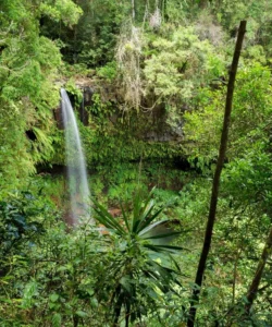 Montagne d'Ambre National Park