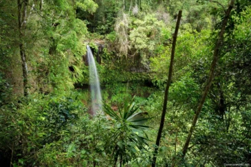 Montagne d'Ambre National Park