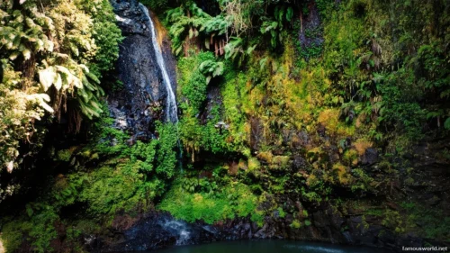 Montagne d’Ambre National Park 18