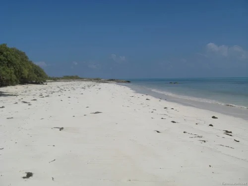 Moucha Island 11