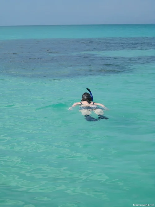 Moucha Island 12