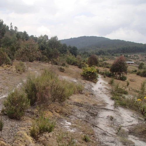 Mount Heha 13