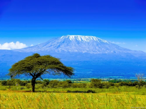 Mount Kilimanjaro 01