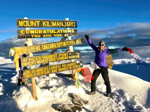 Mount Kilimanjaro 15