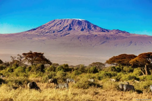 Mount Kilimanjaro 22