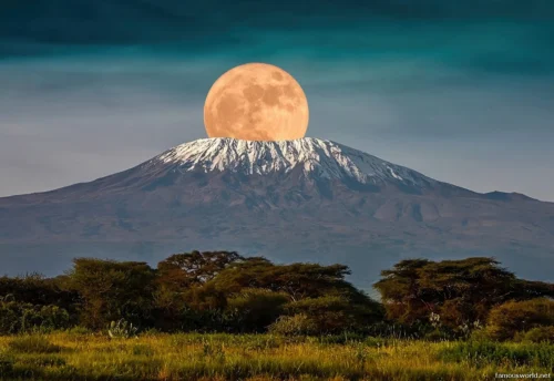 Mount Kilimanjaro 29