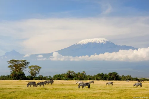 Mount Kilimanjaro 36