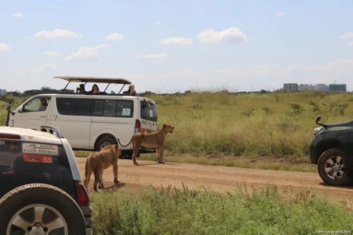 Nairobi National Park 02