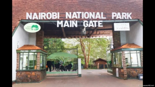 Nairobi National Park 07