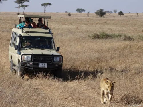 Nairobi National Park 08
