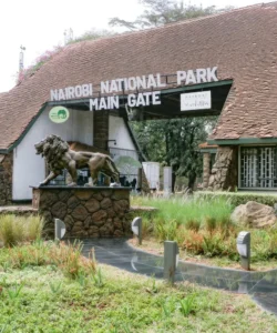Nairobi National Park 09