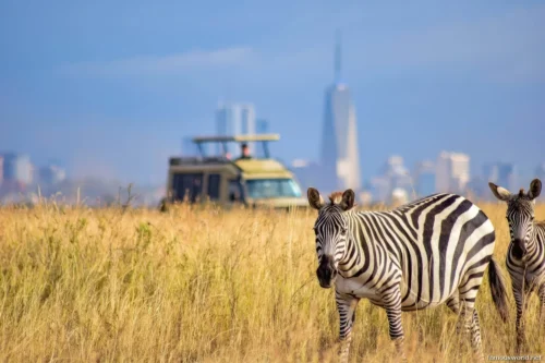 Nairobi National Park 13