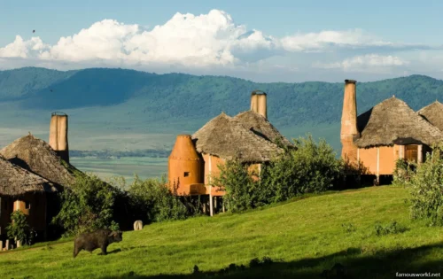 Ngorongoro Crater 24