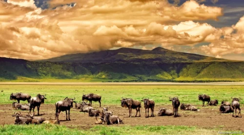 Ngorongoro Crater 31