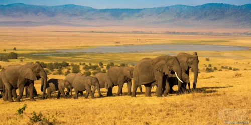 Ngorongoro Crater 34