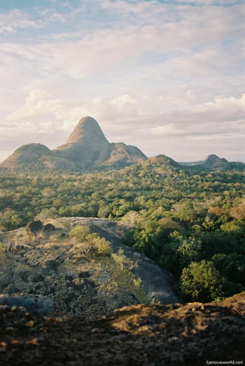 Niassa National Reserve 15