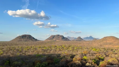 Niassa National Reserve 29