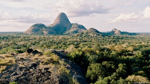 Niassa National Reserve 32