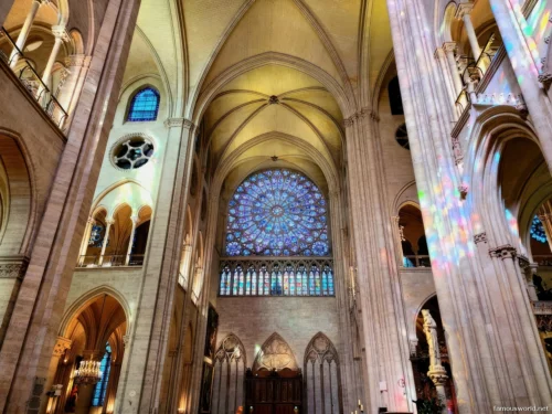 Notre-Dame Cathedral 11