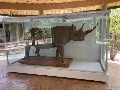 Olduvai Gorge Museum 02