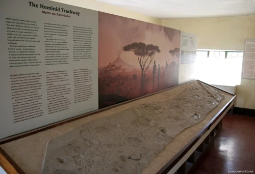 Olduvai Gorge Museum 05