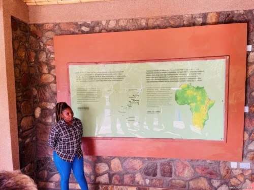 Olduvai Gorge Museum 15