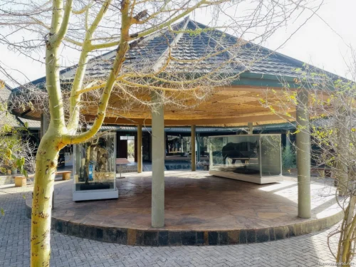 Olduvai Gorge Museum 16