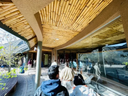 Olduvai Gorge Museum 17