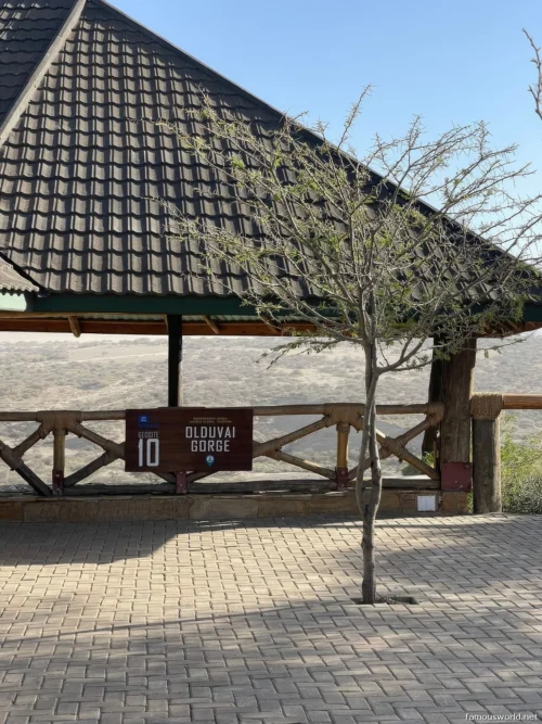 Olduvai Gorge Museum 21