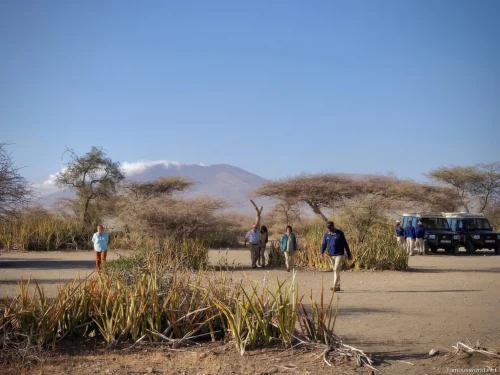 Olduvai Gorge Museum 22