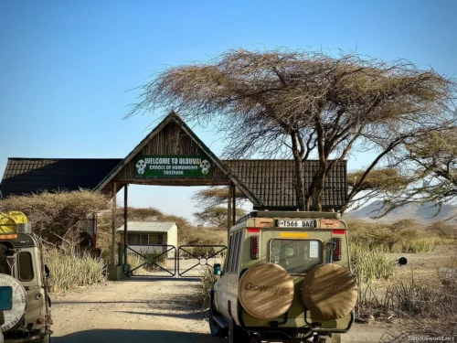 Olduvai Gorge Museum 23