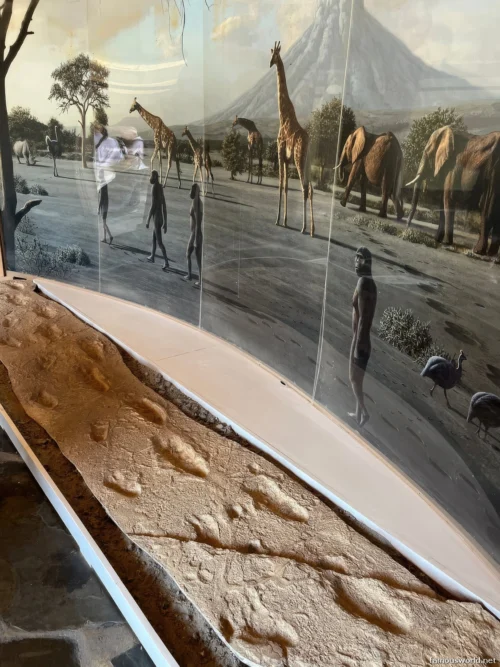 Olduvai Gorge Museum 27