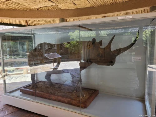 Olduvai Gorge Museum 29