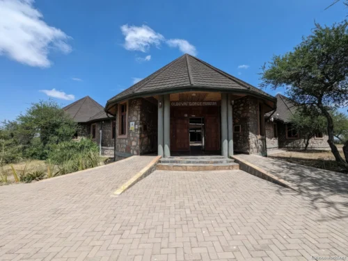 Olduvai Gorge Museum 31