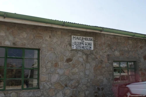Olduvai Gorge Museum 37