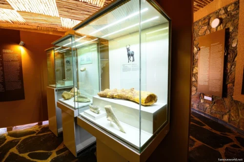 Olduvai Gorge Museum 40