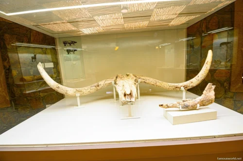 Olduvai Gorge Museum 41