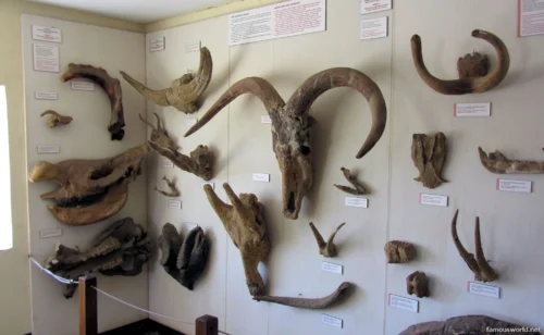 Olduvai Gorge Museum 44