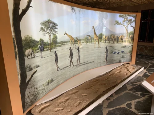 Olduvai Gorge Museum 45